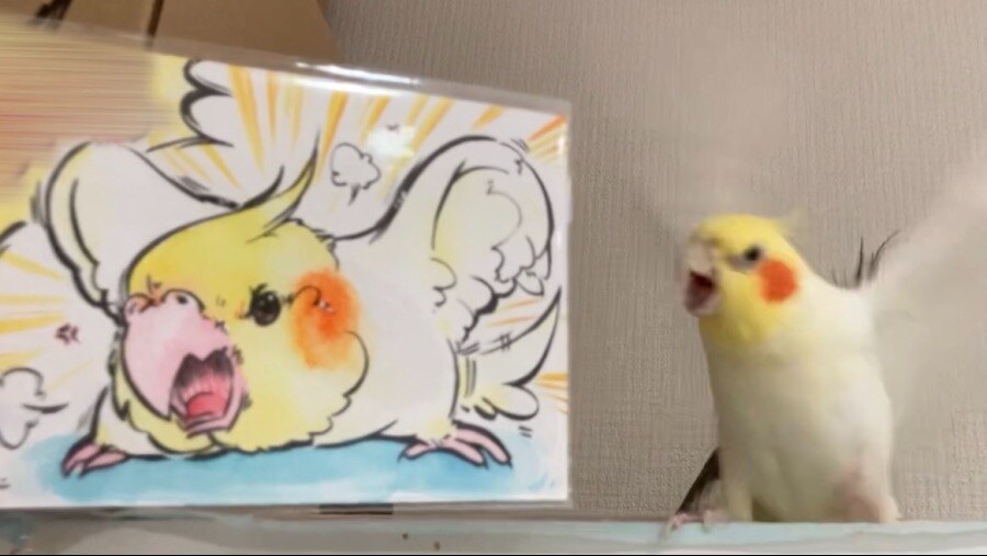 고레가 와따시?_3.jpg