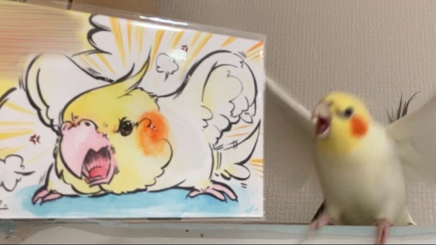 고레가 와따시?_4.jpg