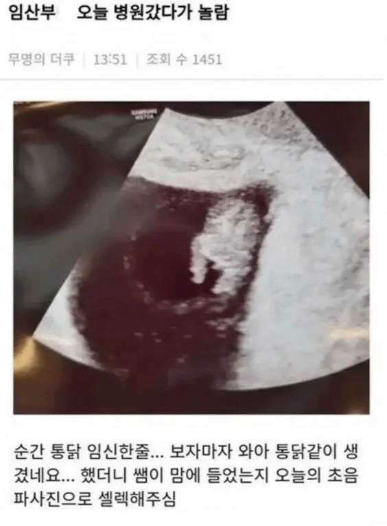통닭 임신함_1.webp