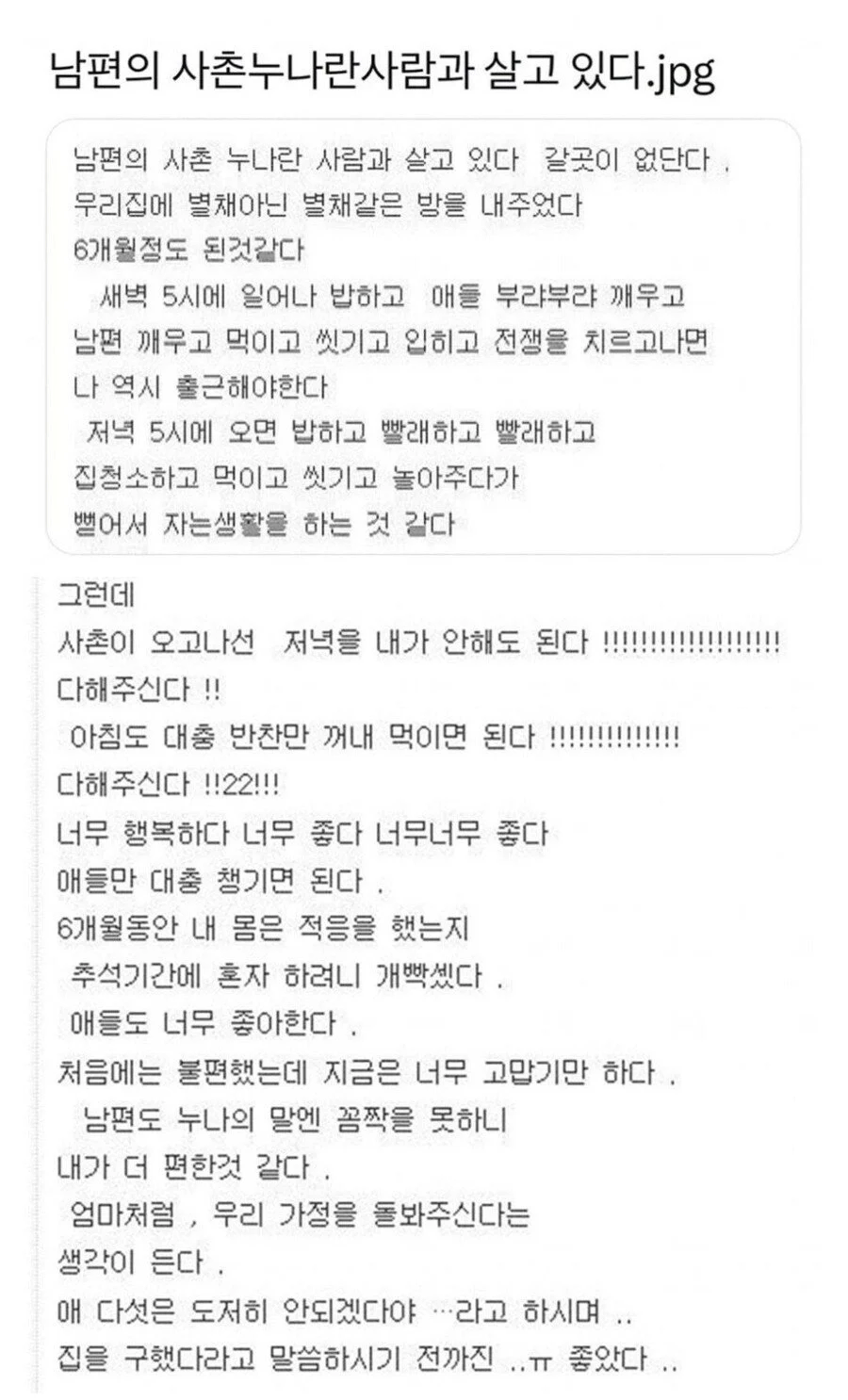 남편의 사촌누나란 사람과 살고 있다.jpg_1.webp