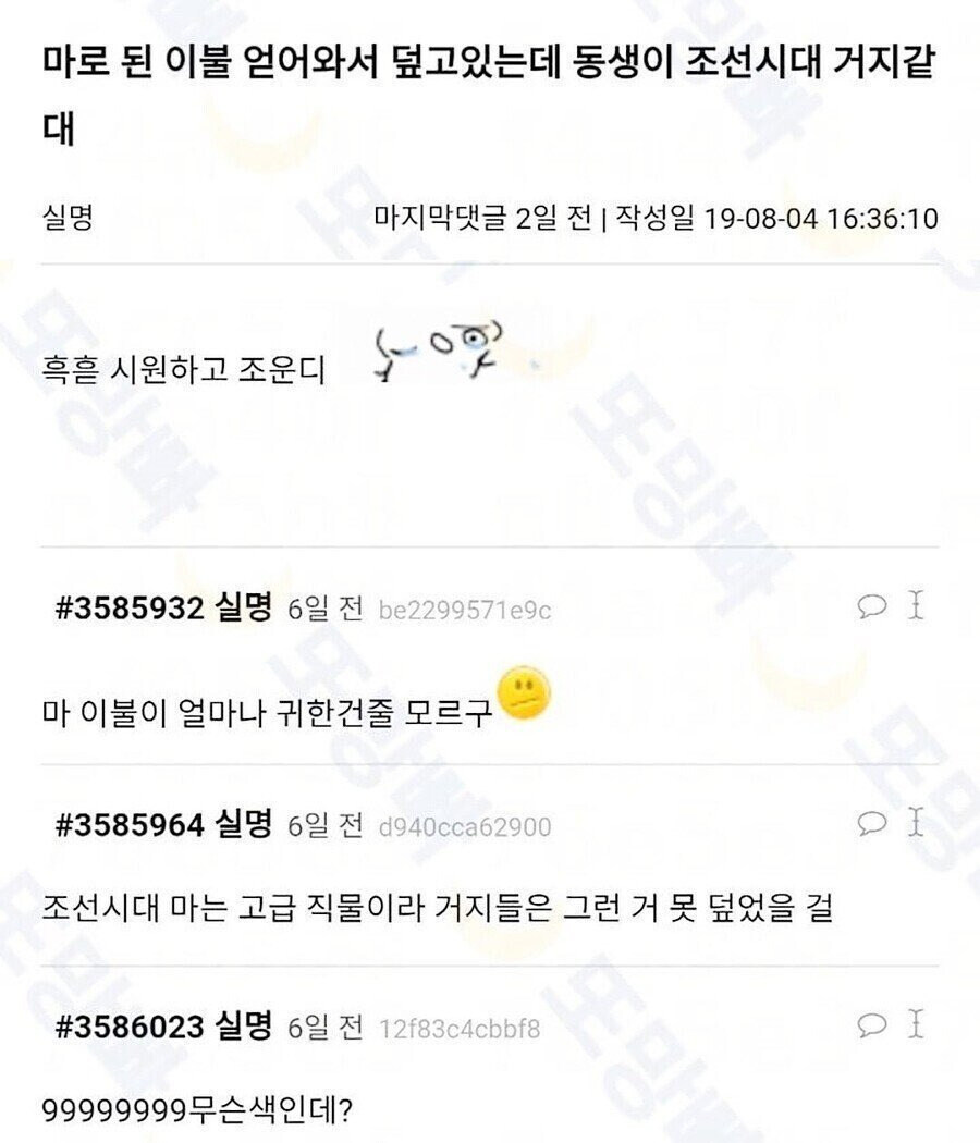 여름용 고급 이불을 얻어온 동생.jpg_1.jpg