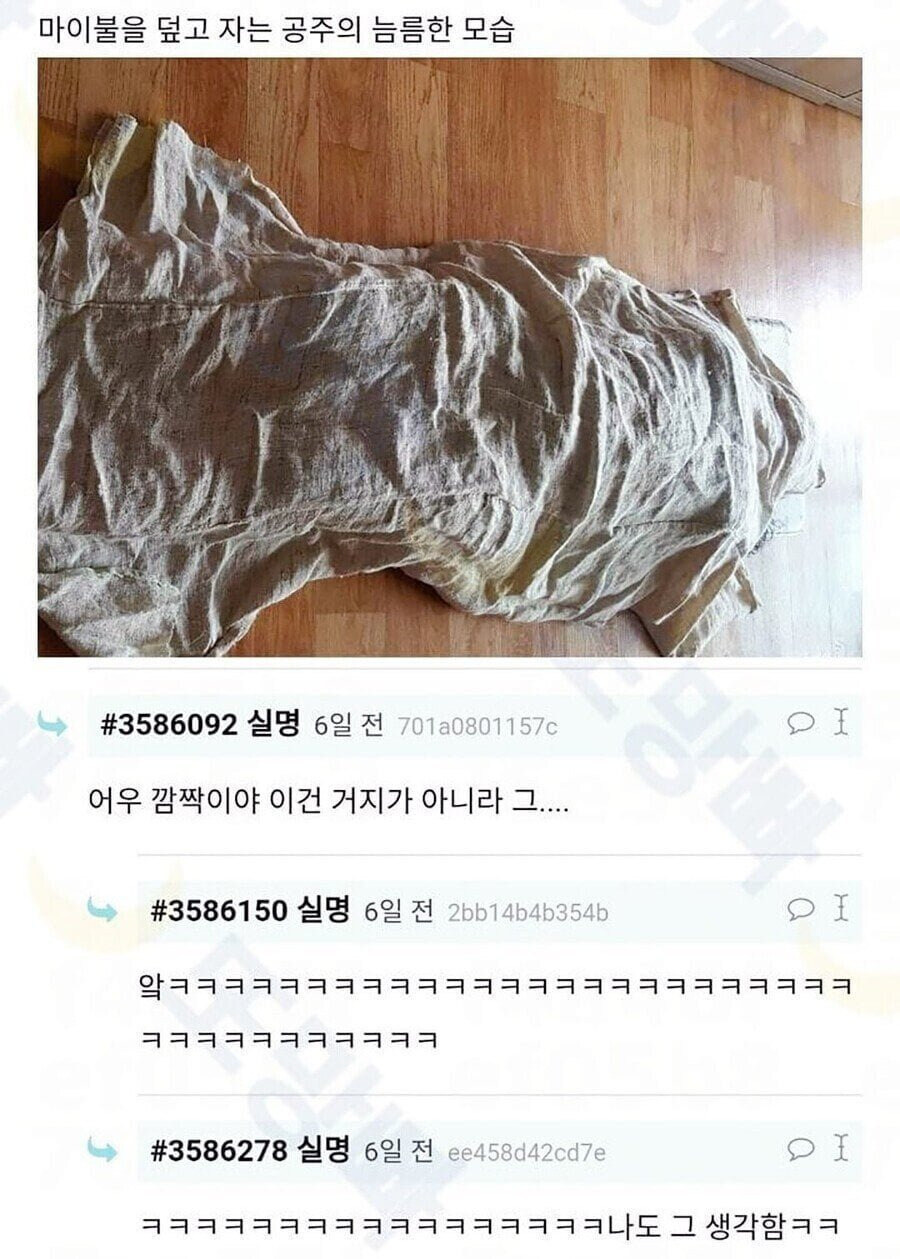 여름용 고급 이불을 얻어온 동생.jpg_2.jpg