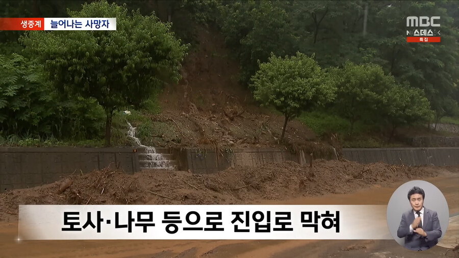 ??? : 나무 많으면 산사태 안 나_1.jpg