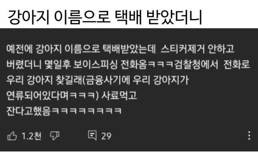 강아지가 범죄에 연루된사람 ㄷㄷㄷㄷ_1.png