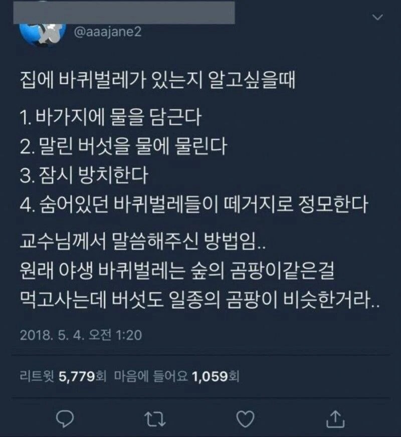 집에 바퀴벌레가 있는지 알고싶을 때_1.jpg