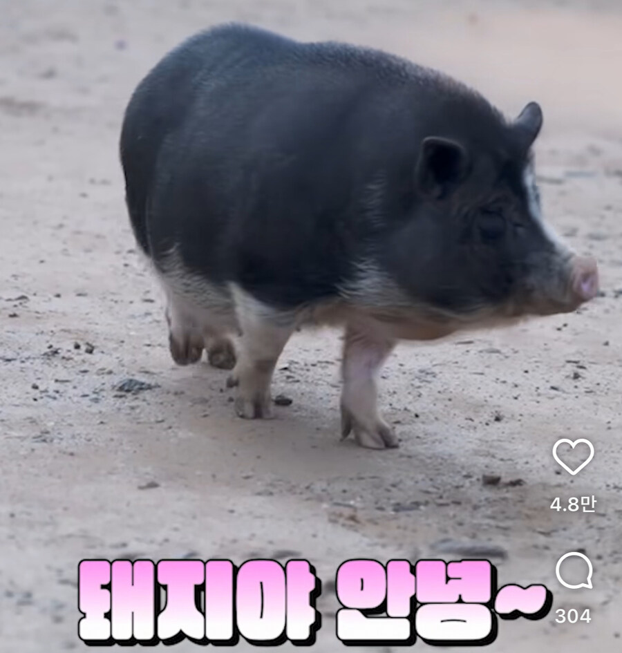 오레사마 등장_1.jpg