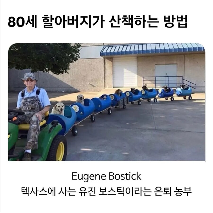 80대 은퇴한 할아버지의 개산책.jpg_1.jpg