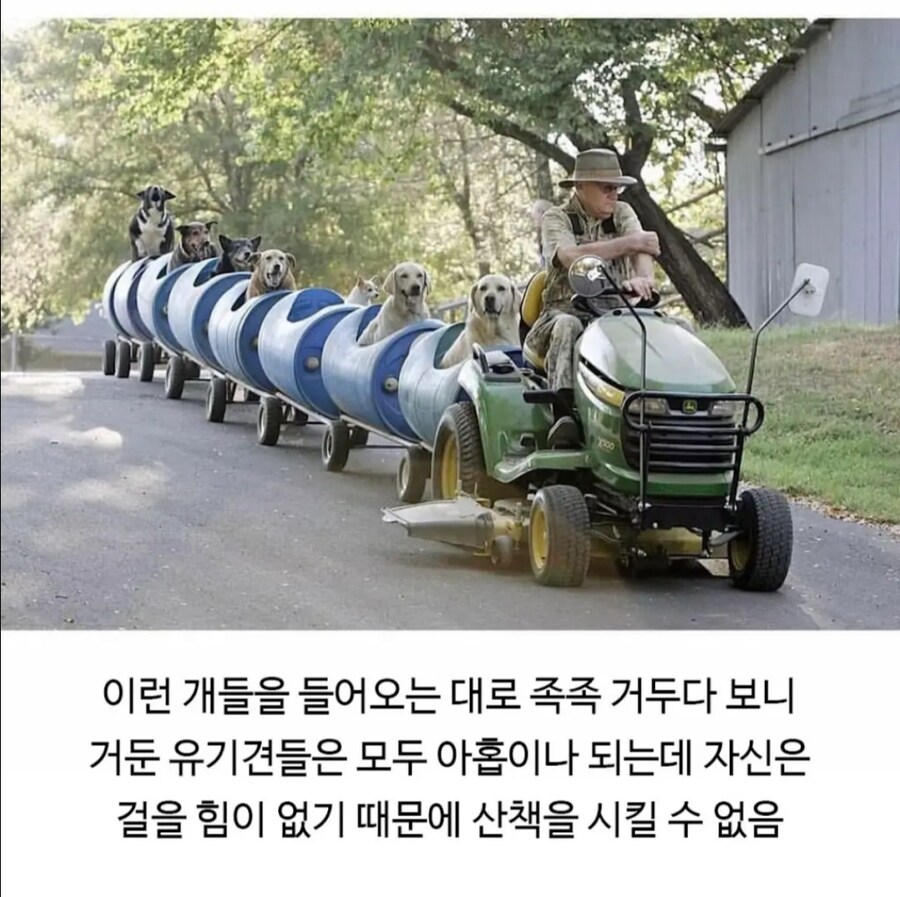 80대 은퇴한 할아버지의 개산책.jpg_3.jpg