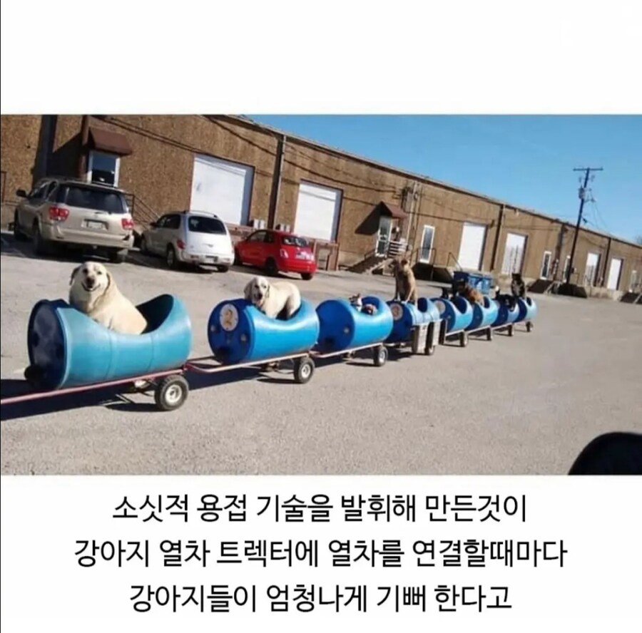 80대 은퇴한 할아버지의 개산책.jpg_5.jpg