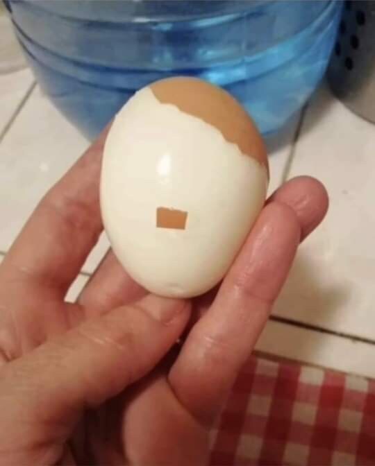 아 계란 잘못삶아서 껍질 드럽게 안까지네_1.jpg