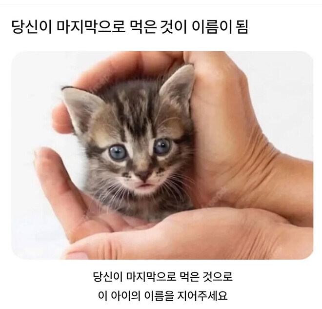 당신이 마지막으로 먹은 것_1.jpg