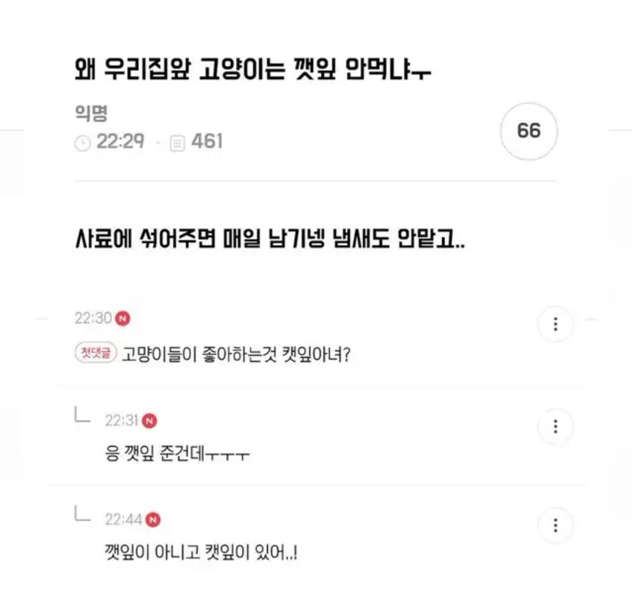 고양이 : 캔따개 새끼 미쳤나_1.jpg