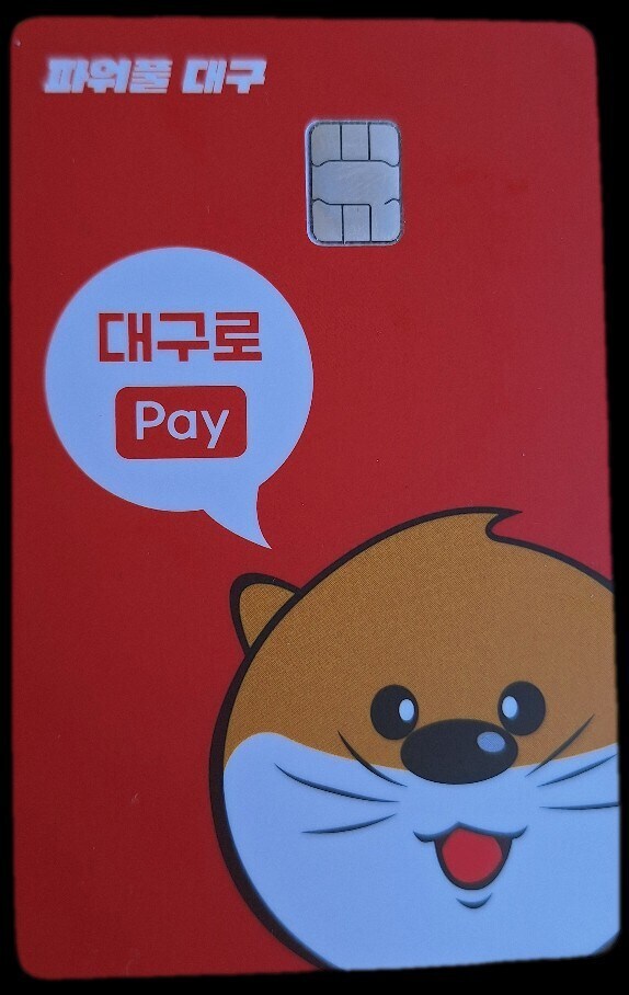 각 지자체 민생 실물카드 모음 JPG_10.jpg