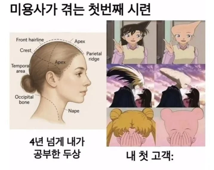 초보 미용사의 위기.jpg_1.webp
