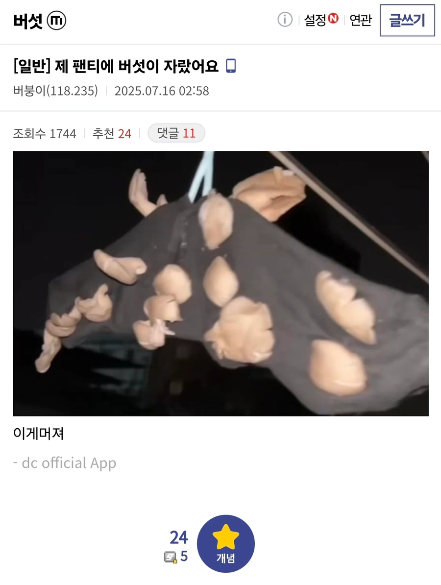 팬티 안에 버섯이 점점 커져요..._1.webp