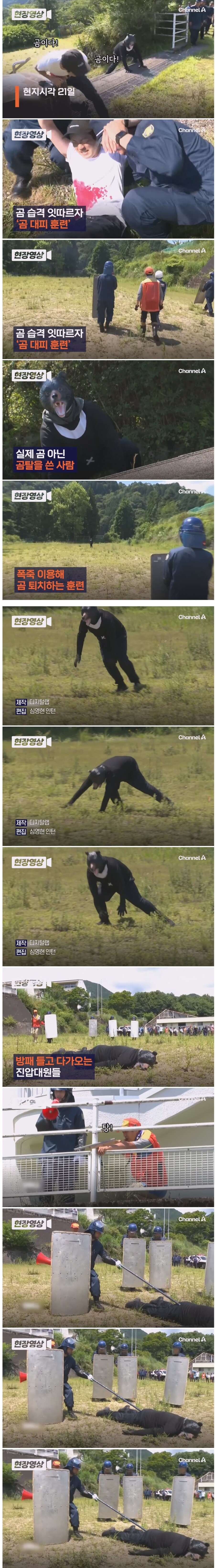 일본 곰 대피훈련_1.jpg