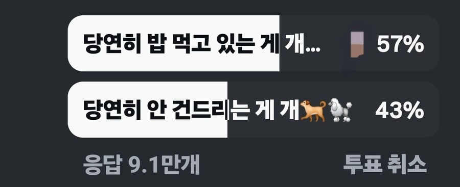 의외로 해석이 갈린다는 문장.jpg_9.jpg