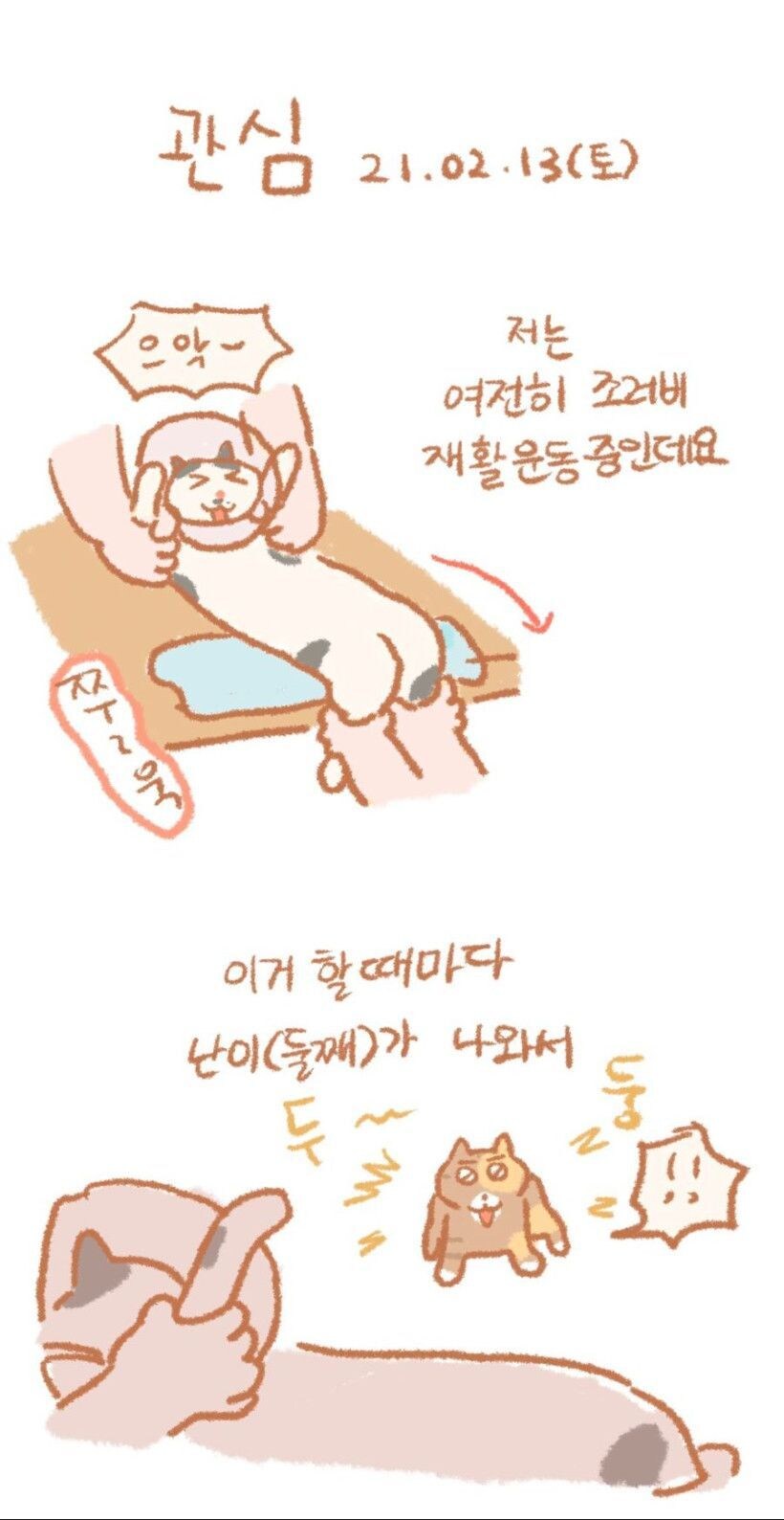 관종 고양이_1.jpg