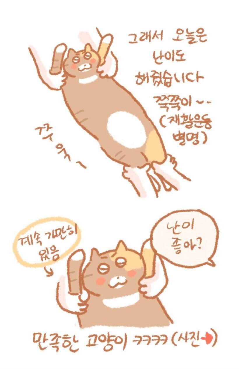 관종 고양이_2.jpg