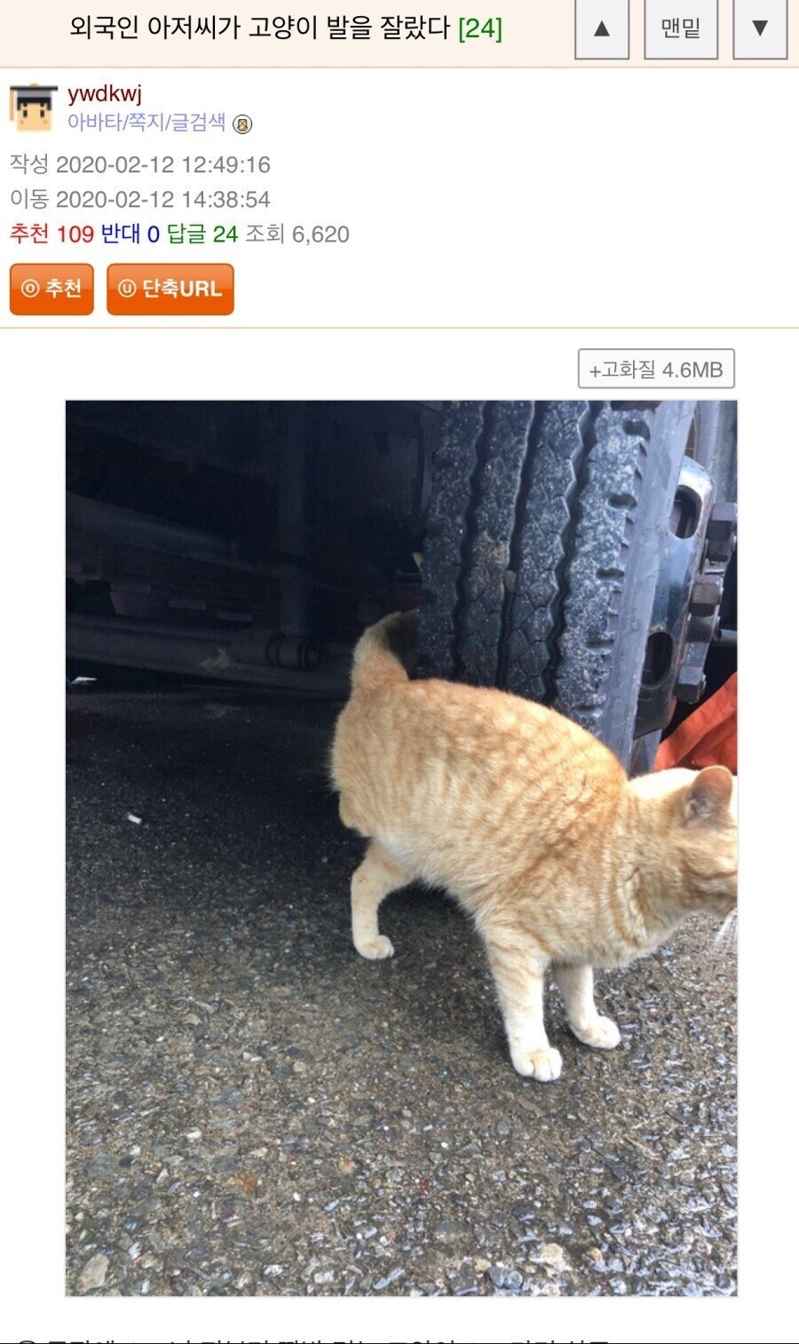 외국인 아저씨가 고양이 발을 잘랐다.jpg_1.jpg