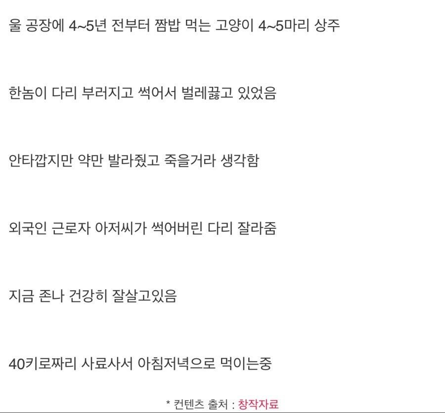 외국인 아저씨가 고양이 발을 잘랐다.jpg_2.jpg