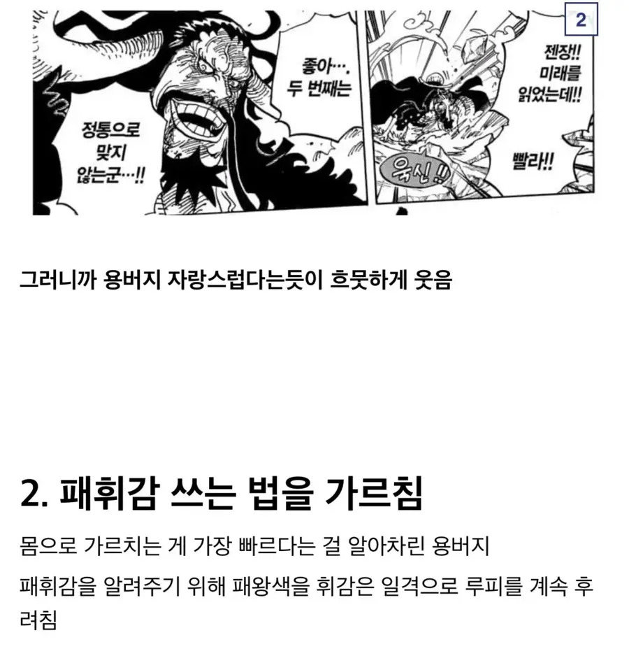 원피스 루피가 급격히 강해진 비결_4.webp