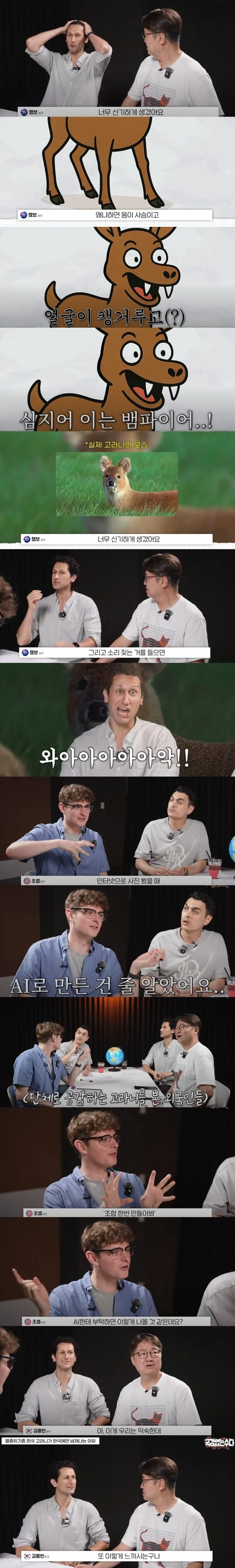 외국인들은 존재자체를 못믿겠다는 한국 토종 동물_1.webp