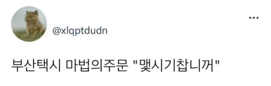 서울 택시 vs 부산 택시_3.jpg