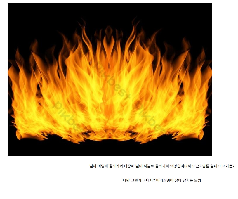 아래로 안 빗고 빤쓰 입으면 살 아프지 않니.JPG_2.png