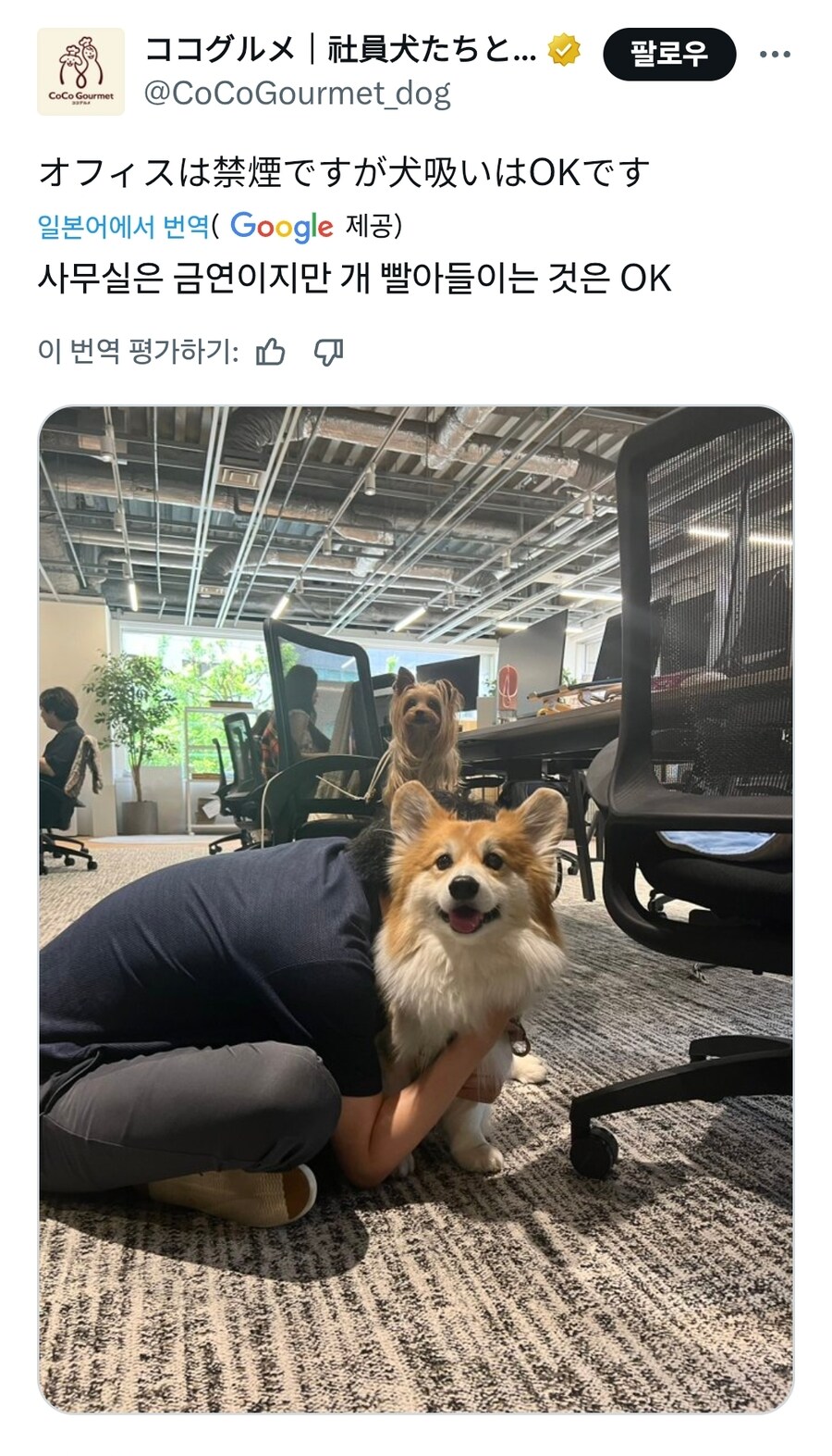 우리 사무실은 금연이지만...twt_1.jpg