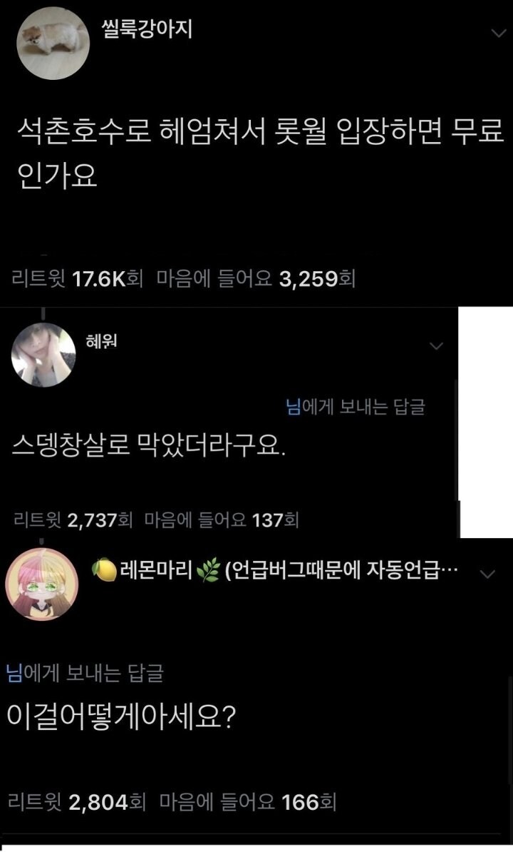 롯데월드 무료 입장에 도전했던 사람_1.jpg