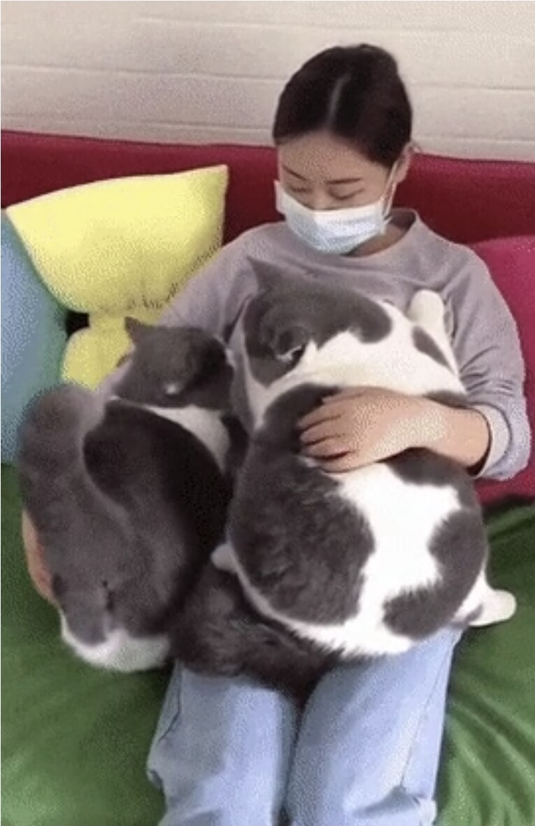집에서 돼지 키우는걸 자랑하는 사람들.jpg_1.jpg