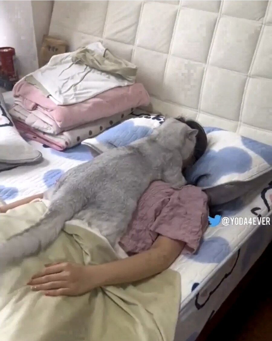 집에서 돼지 키우는걸 자랑하는 사람들.jpg_4.jpg