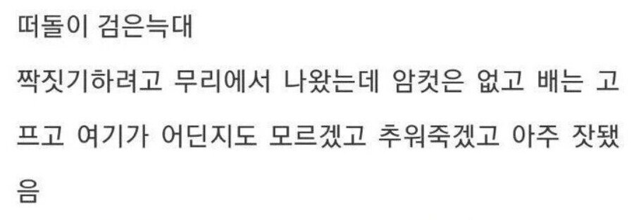 용기있는 자가 미인을 얻는다.jpg_2.jpg