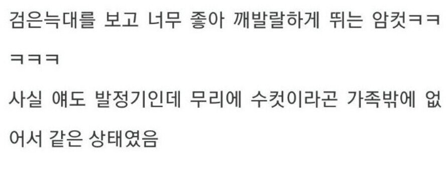용기있는 자가 미인을 얻는다.jpg_8.jpg