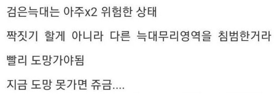 용기있는 자가 미인을 얻는다.jpg_10.jpg