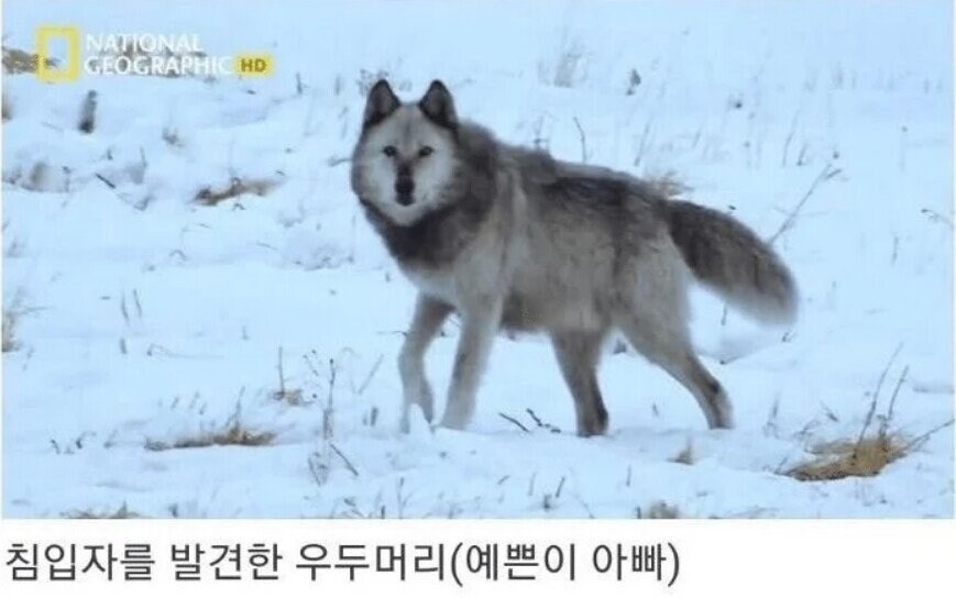 용기있는 자가 미인을 얻는다.jpg_12.jpg