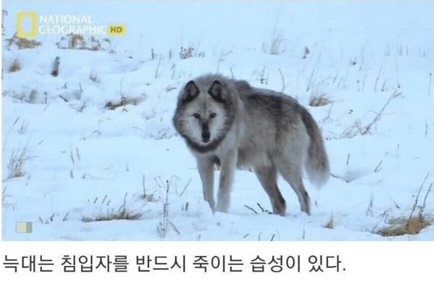 용기있는 자가 미인을 얻는다.jpg_14.jpg