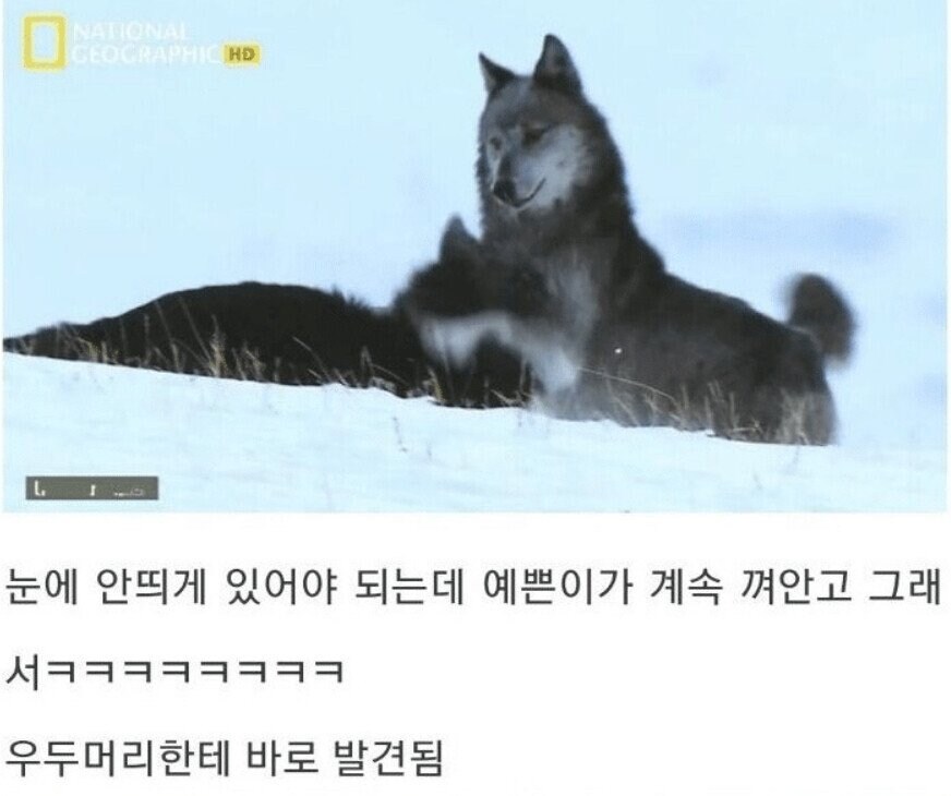 용기있는 자가 미인을 얻는다.jpg_15.jpg