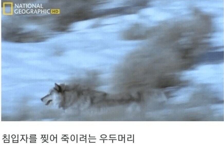 용기있는 자가 미인을 얻는다.jpg_16.jpg