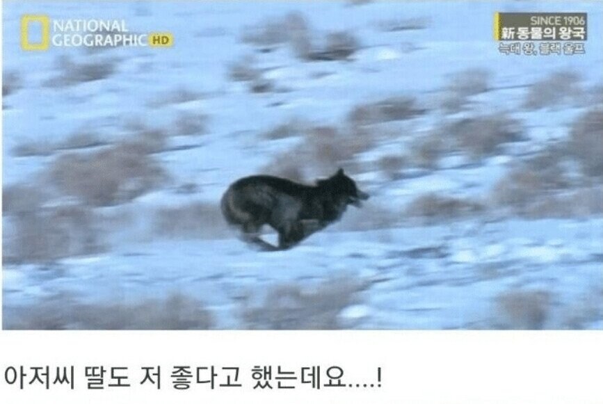 용기있는 자가 미인을 얻는다.jpg_17.jpg
