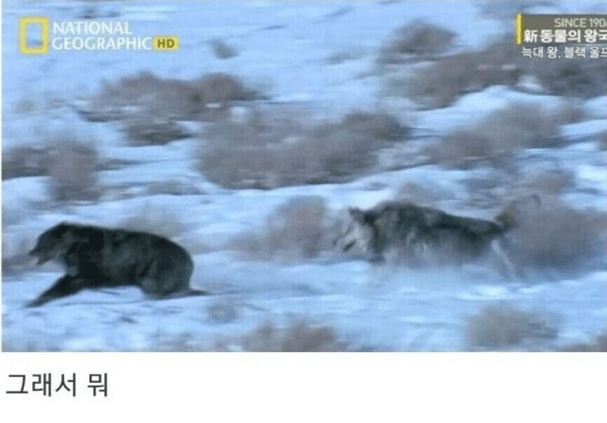 용기있는 자가 미인을 얻는다.jpg_18.jpg