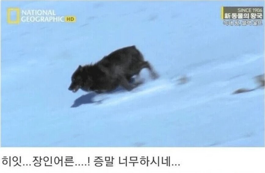 용기있는 자가 미인을 얻는다.jpg_19.jpg
