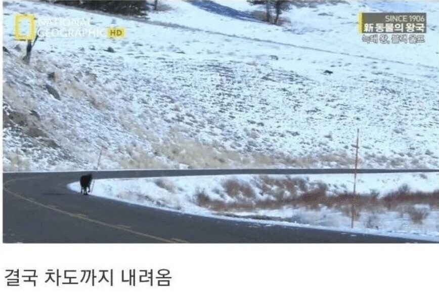 용기있는 자가 미인을 얻는다.jpg_20.jpg