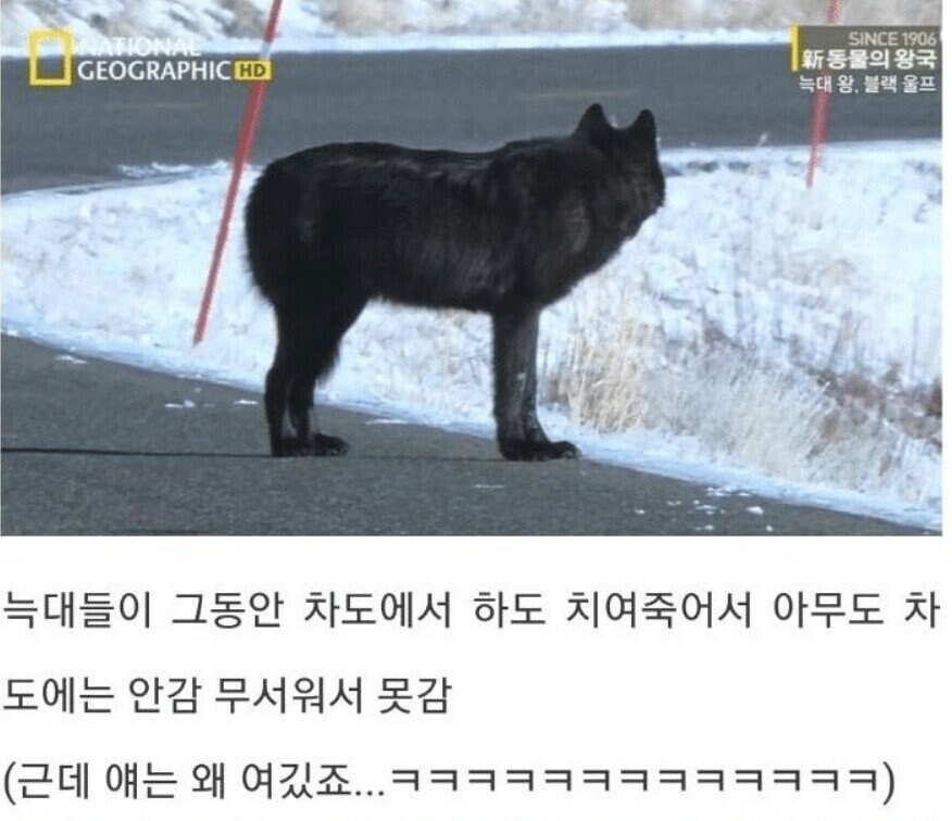 용기있는 자가 미인을 얻는다.jpg_21.jpg