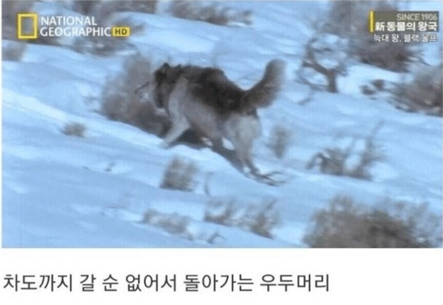 용기있는 자가 미인을 얻는다.jpg_22.jpg