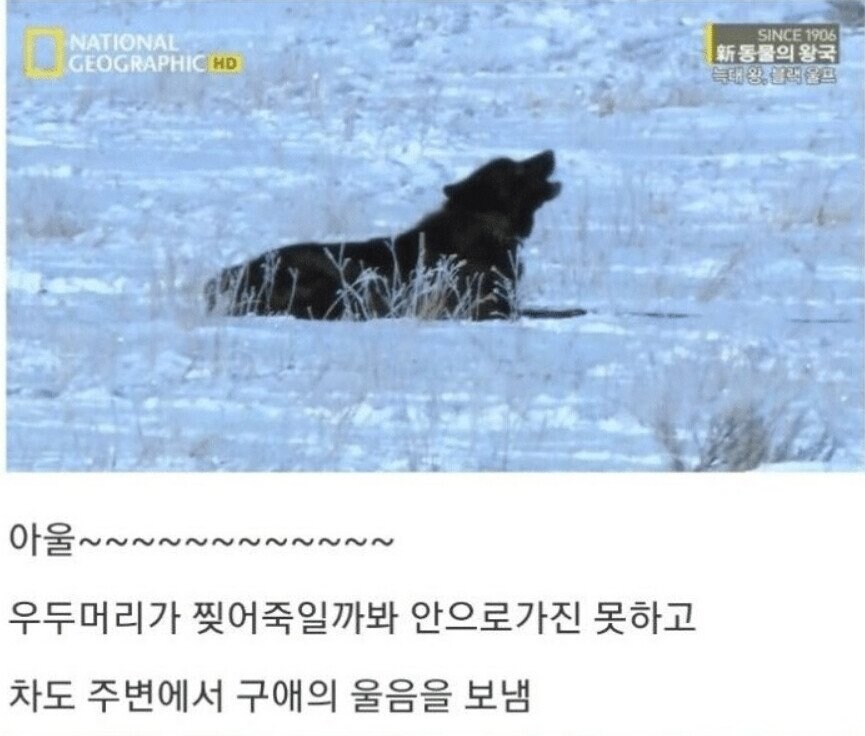 용기있는 자가 미인을 얻는다.jpg_23.jpg