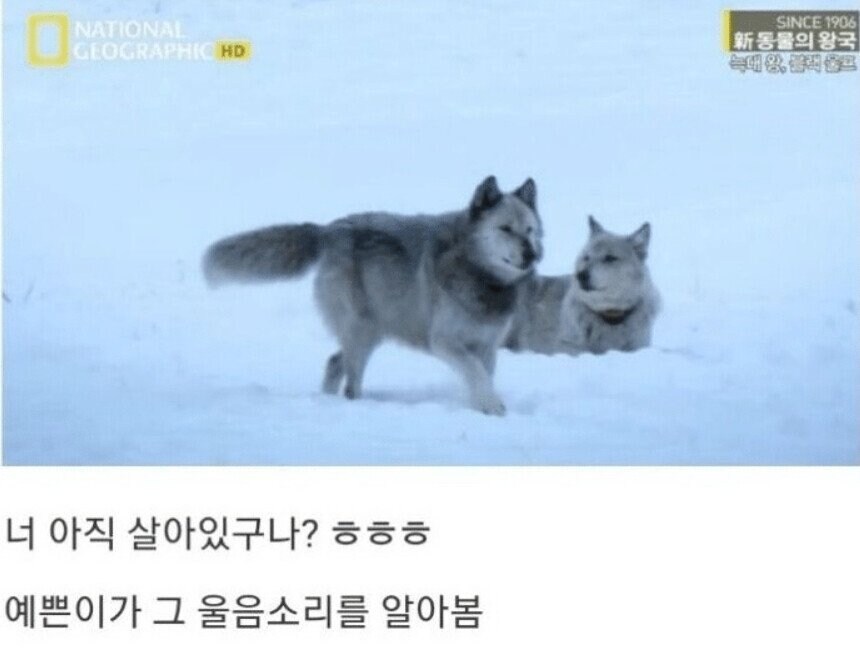 용기있는 자가 미인을 얻는다.jpg_24.jpg
