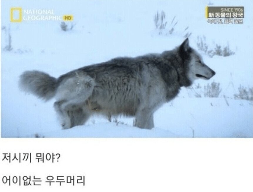 용기있는 자가 미인을 얻는다.jpg_27.jpg