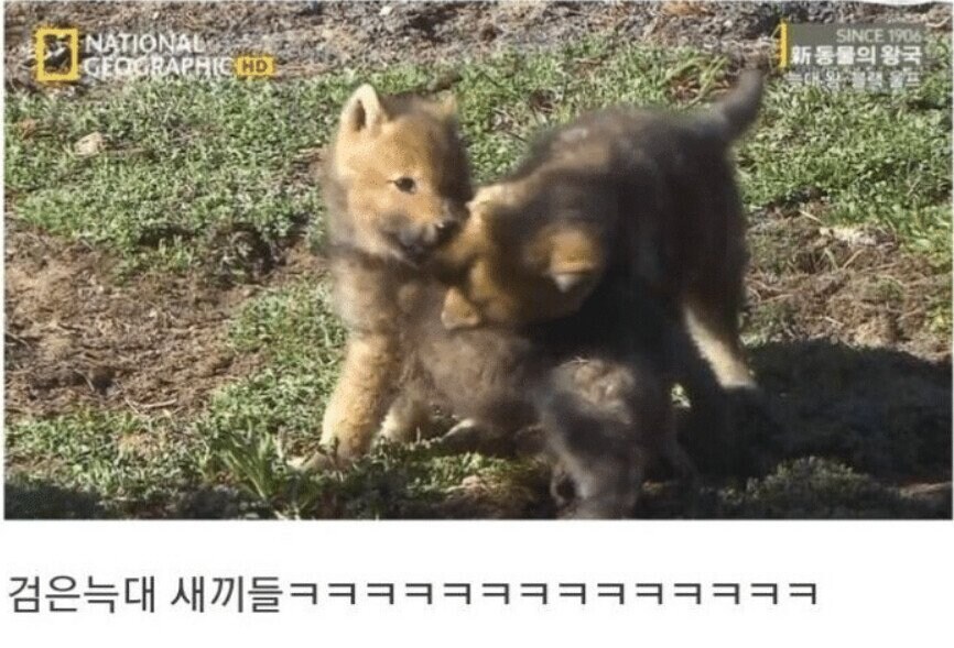 용기있는 자가 미인을 얻는다.jpg_29.jpg